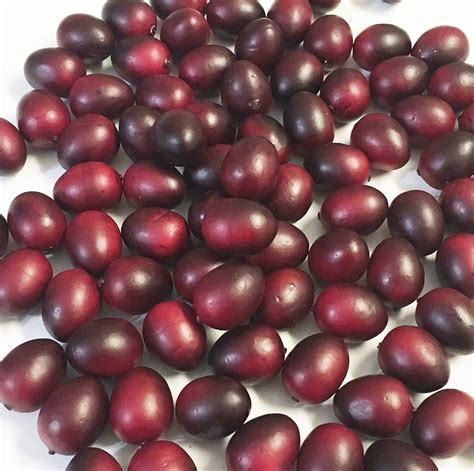 Artificial Fake Fruit, Bag of 72 Cranberries 